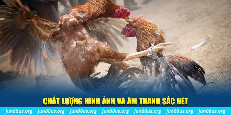 debet 2 casino Đăng nhập