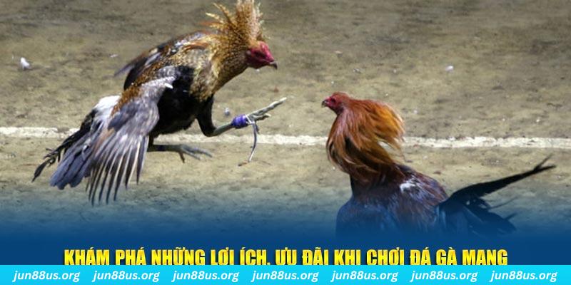 88betvui casino tỷ lệ bóng đá